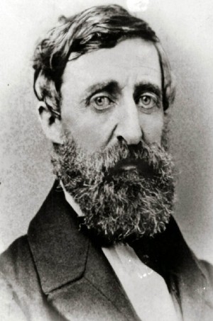 Thoreau-300x453