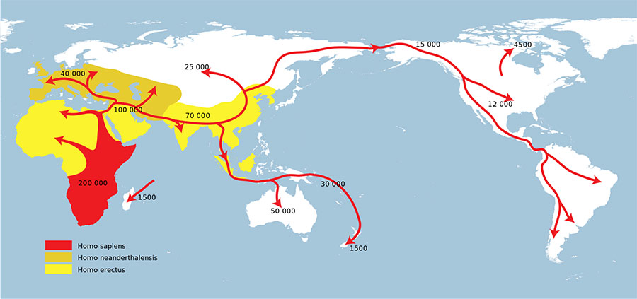 Dağılım-homo-sapiens