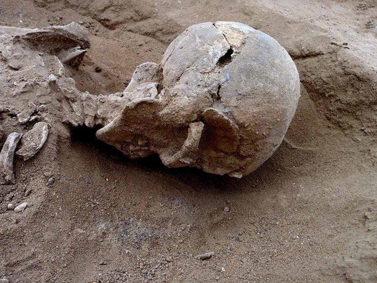 Nataruk bölgesinde bulunan bir erkek iskeletine ait kafatasının yakından görüntüsü. Kafatasının önünde ve sol tarafında, sopa gibi kesici olmayan bir cismin neden olabileceği yaralanmalara benzer birkaç lezyon görülüyor. (Marta Mirazon Lahr; Fabio Lahr katkısıyla)