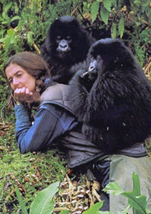 dian-fossey