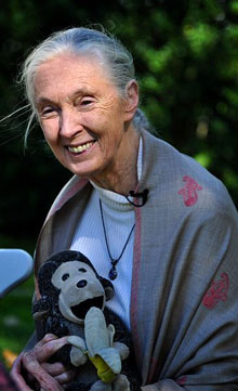 jane-goodall